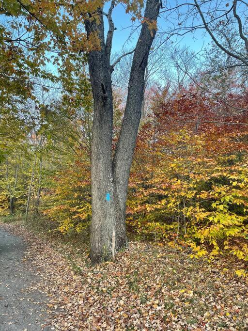 Villa Poconos Peaceful Retreat - Families & Large Groups Tobyhanna Esterno foto